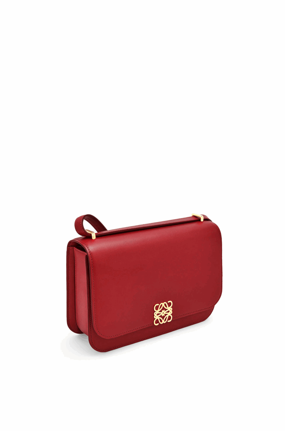 国内即発 LOEWE ゴヤバッグ (シルクカーフ) - 画像 (4)